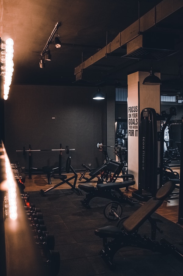 Gym Free weight area 